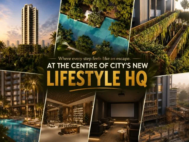 Portfolio Image